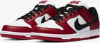 Nike SB Dunk Low Pro « J-Pack Chicago »
